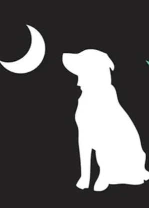 Local Boy Dog & Moon Decal in White