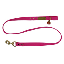 Load image into Gallery viewer, Local Boy Biothane Dog Leash in Pink