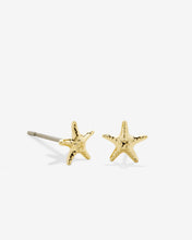 Load image into Gallery viewer, Bryan Anthonys Renew Stud Earrings in Gold