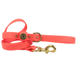 Over Under Water Dog Leash Blaze Orange