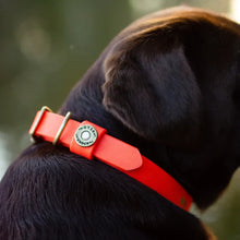 Load image into Gallery viewer, Over Under Water Dog Collar Blaze Orange